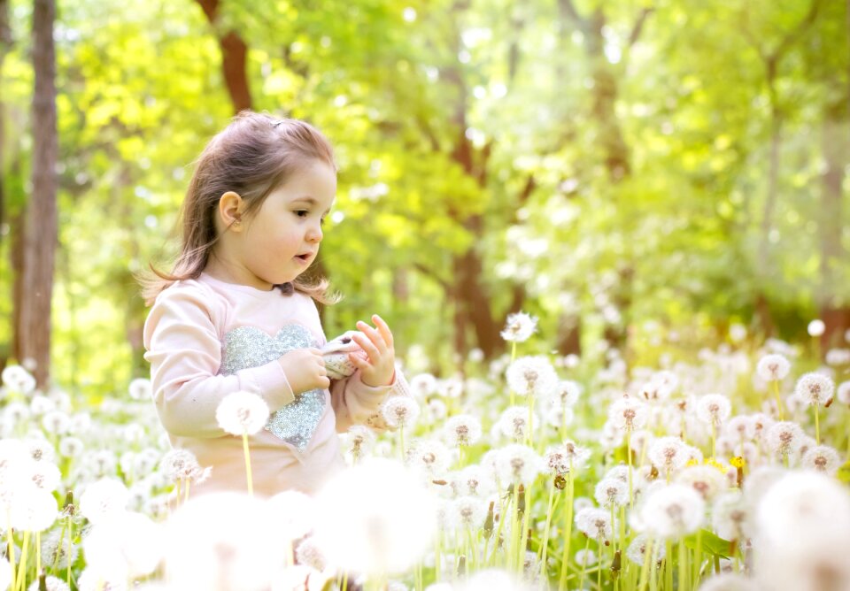 Nature spring grass