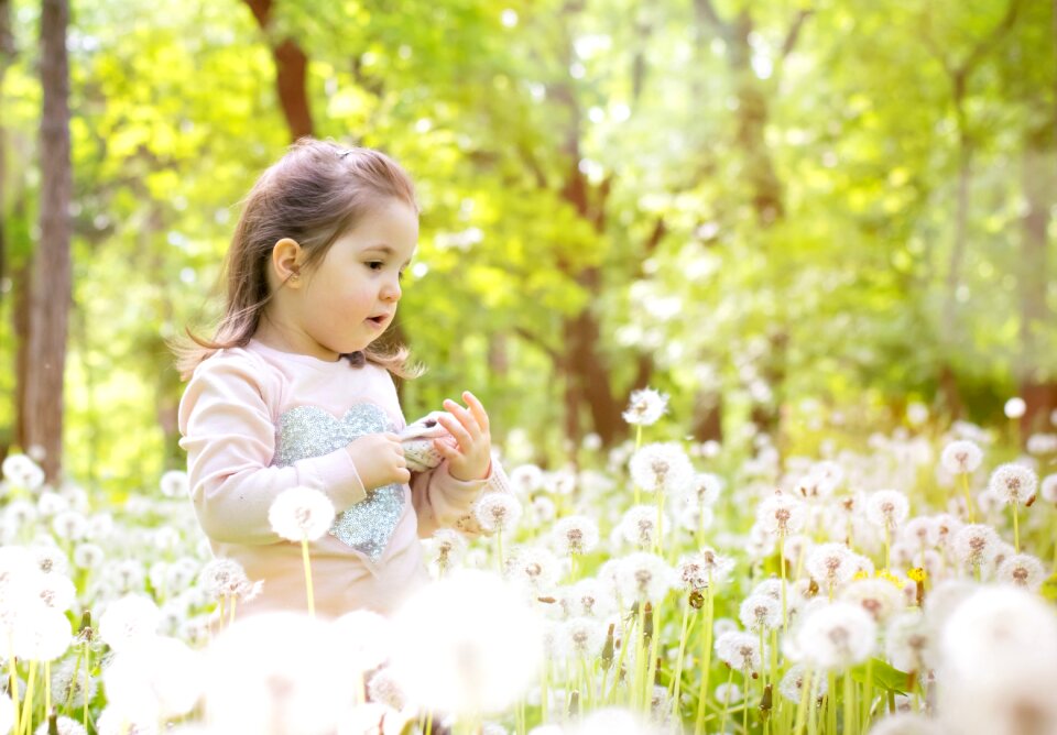 Nature spring grass photo