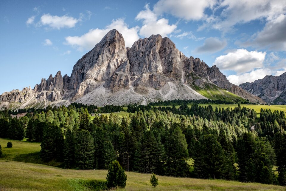 Daylight evergreen grass photo