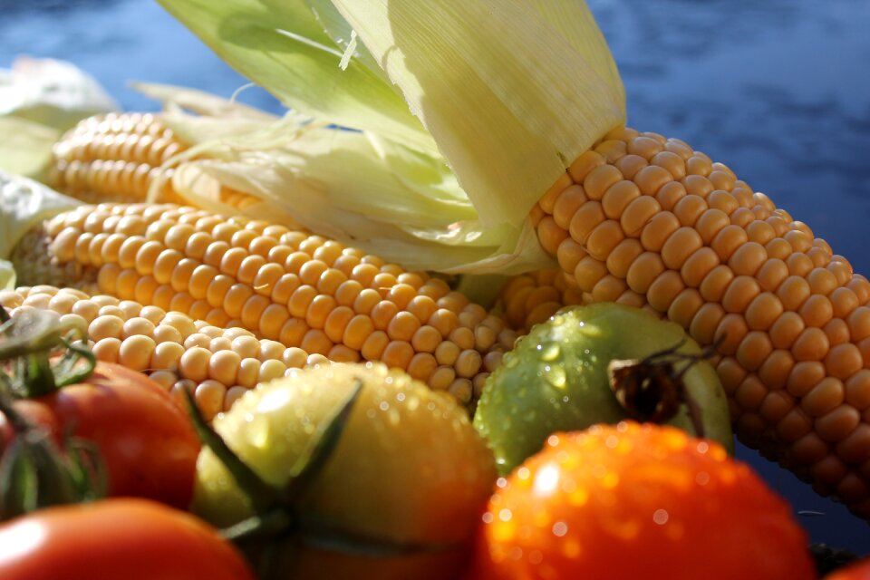 Vegetables fruit food