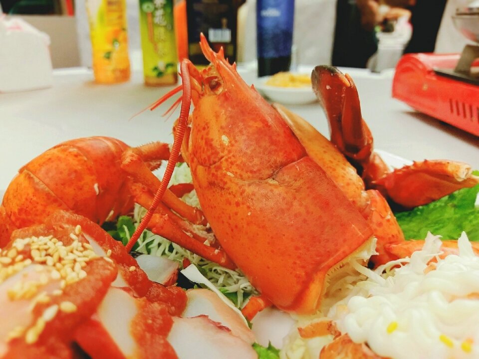 Food eating lobster