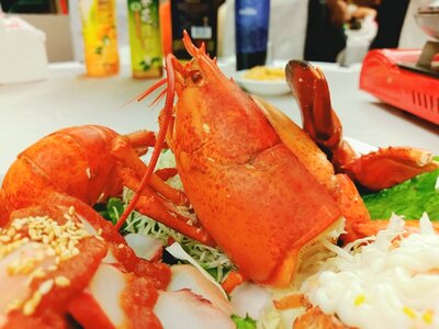 Food eating lobster photo