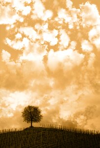 Sky sunset contrast