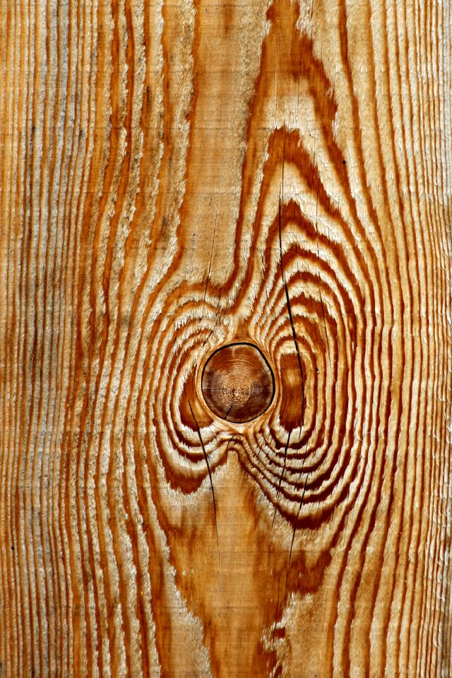 Sample grain structure