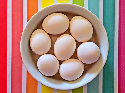 Eggs bowl holiday photo