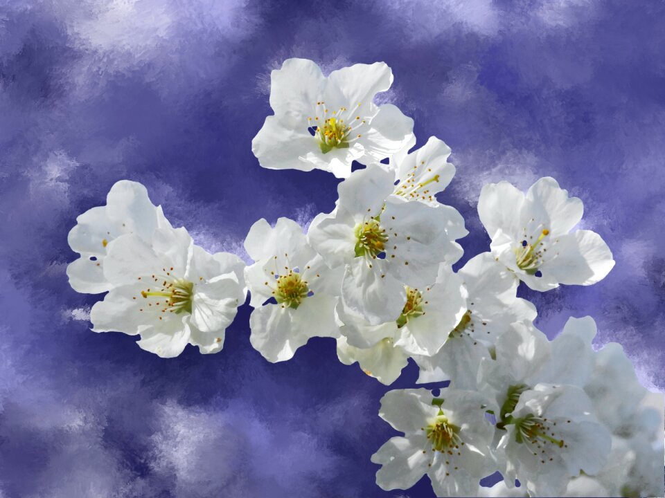 Plant spring background