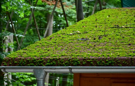 Roofing housetop tile roof photo