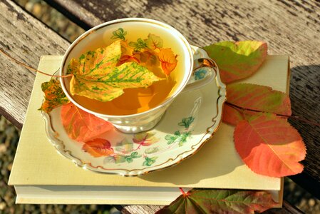Autumn colours fall leaves tableware photo