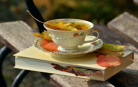 Autumn colours fall leaves tableware photo