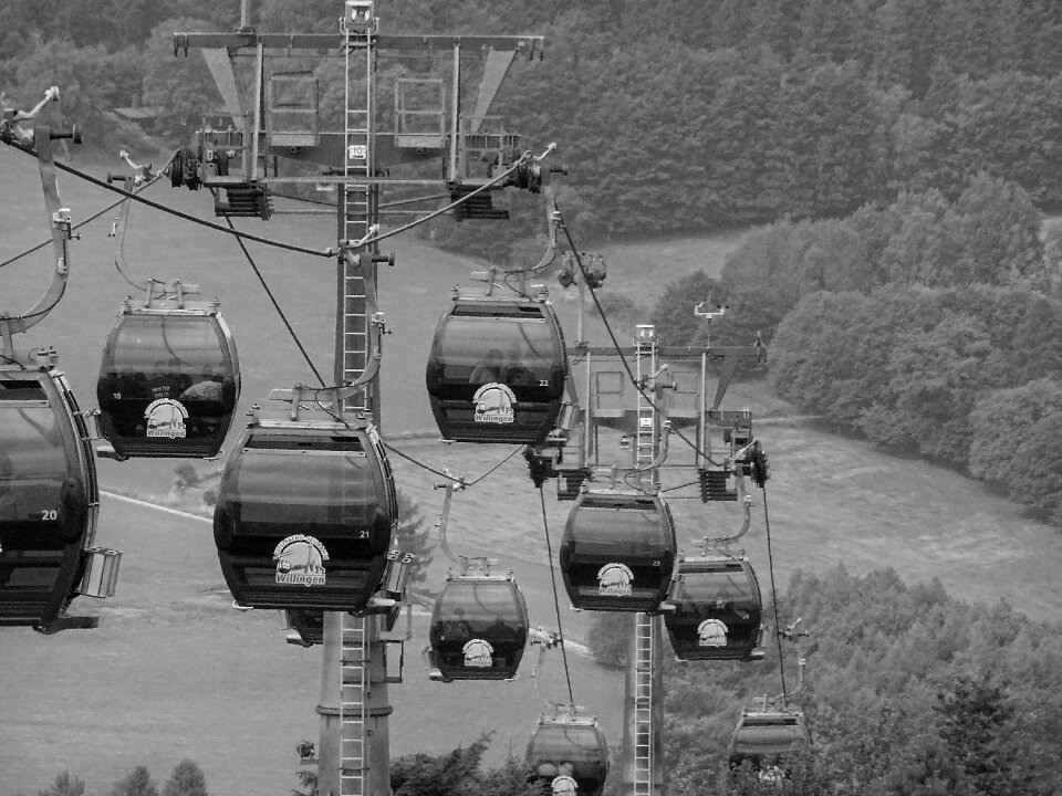 Nature outlook black white