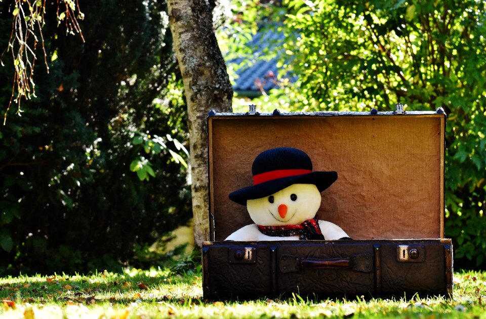 Luggage antique funny