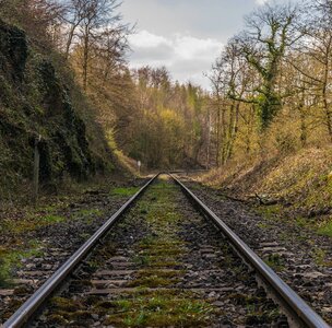 Railway tracks forest railroad tracks