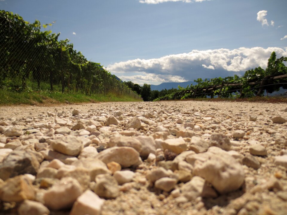 Vacations dry trail
