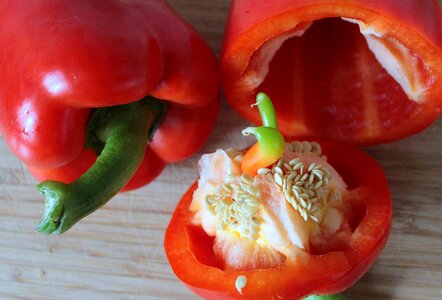 Food healthy red pepper photo