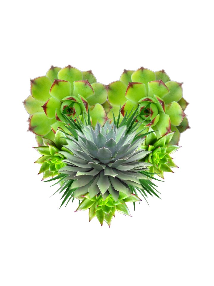 Green nature flower