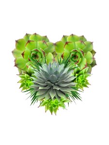 Green nature flower