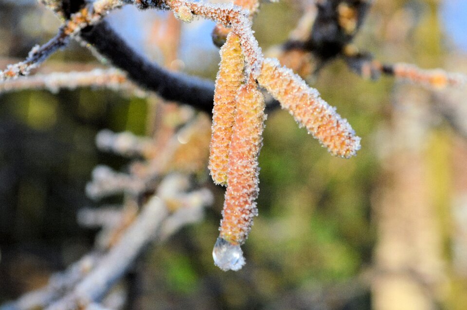 Winter snow season