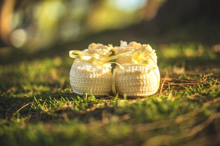 Shoe slipper baby