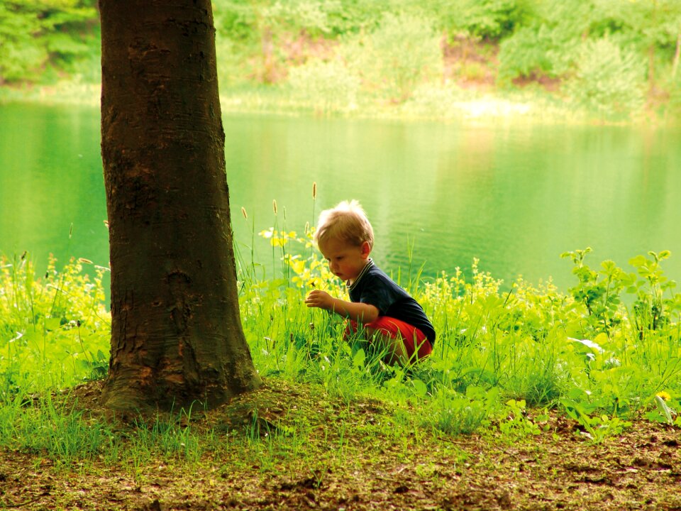 Responsibility landscape forest