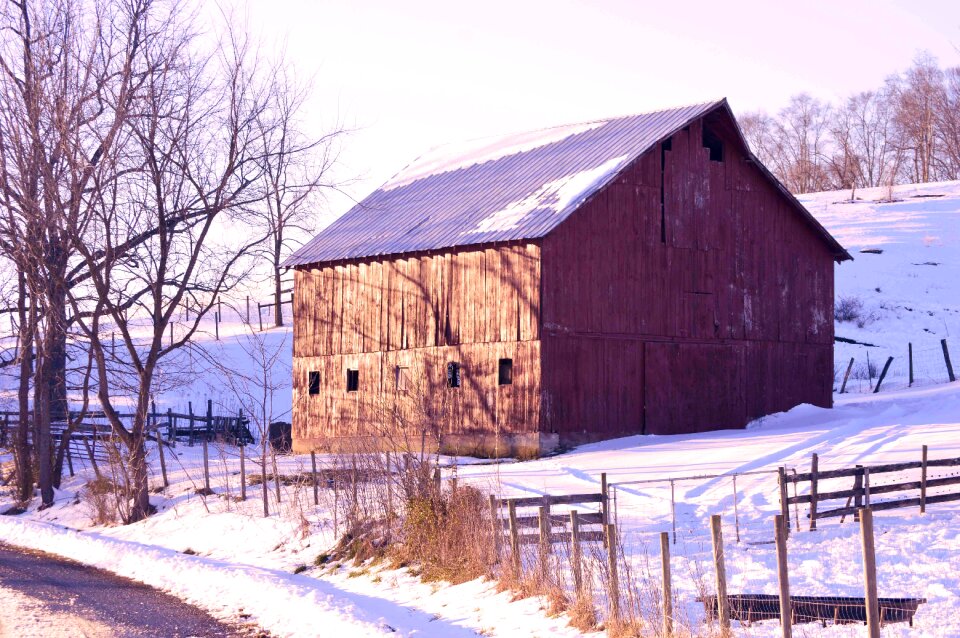 Landscape december icy