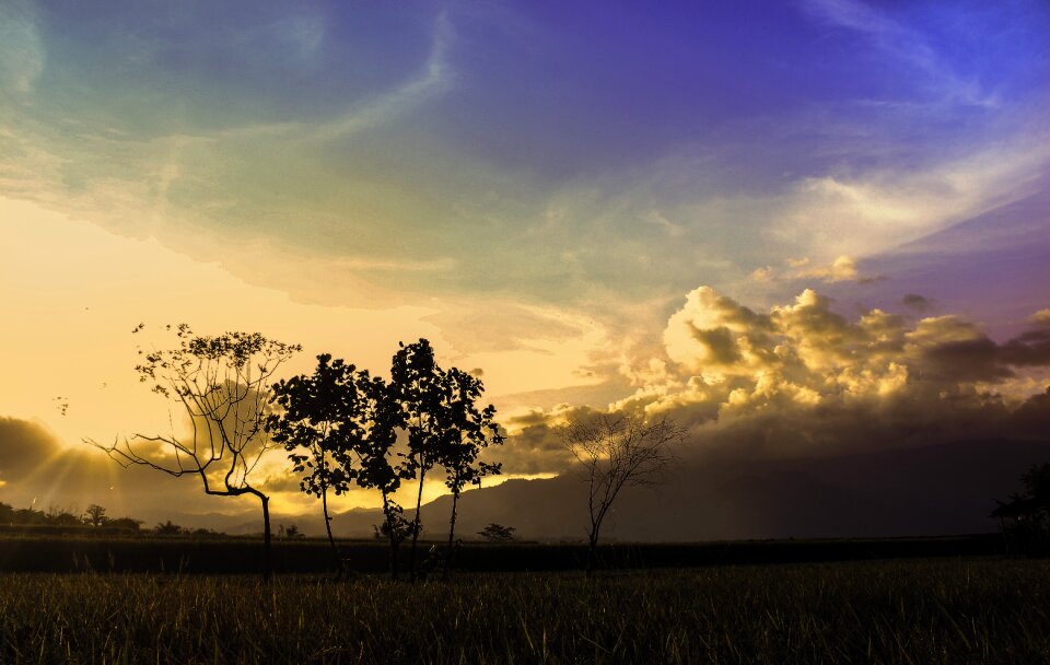 Nature nature wallpaper rice fields