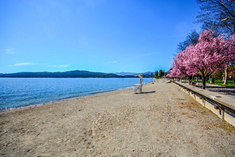 Lake mountains shore