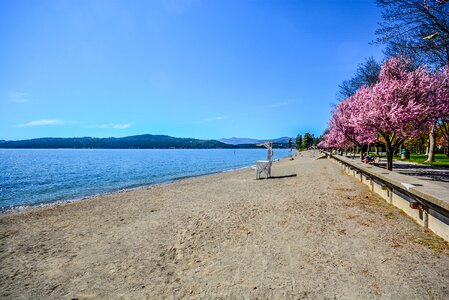 Lake mountains shore