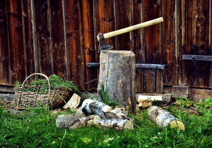 Chopping logs tree photo