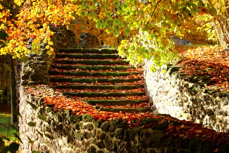 Grotto autumn castle park