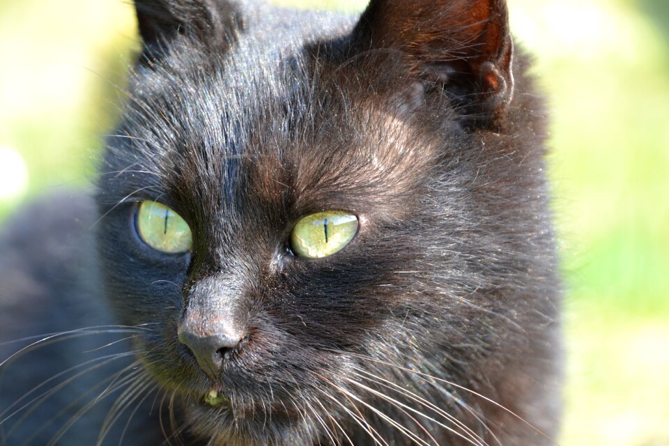Black view close up