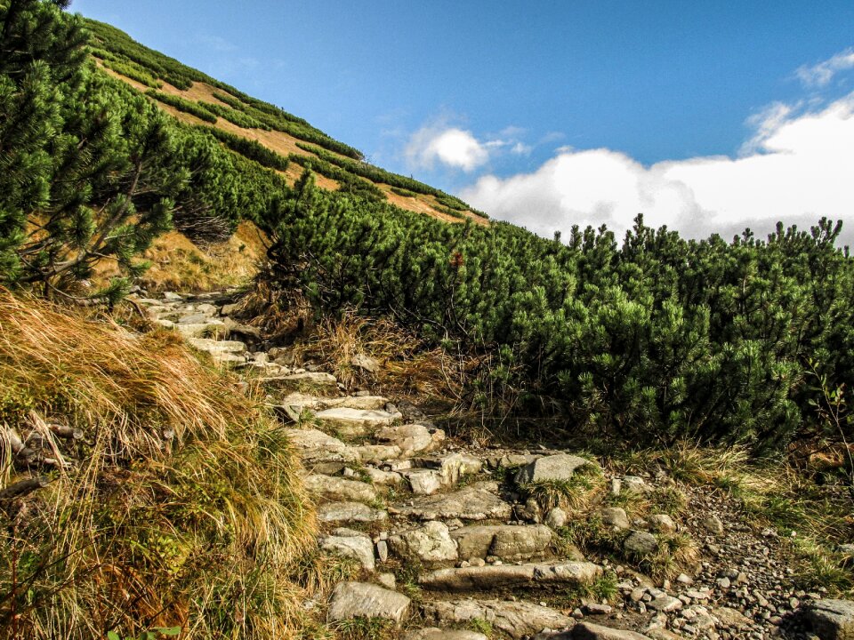 Travel natural mountain landscape
