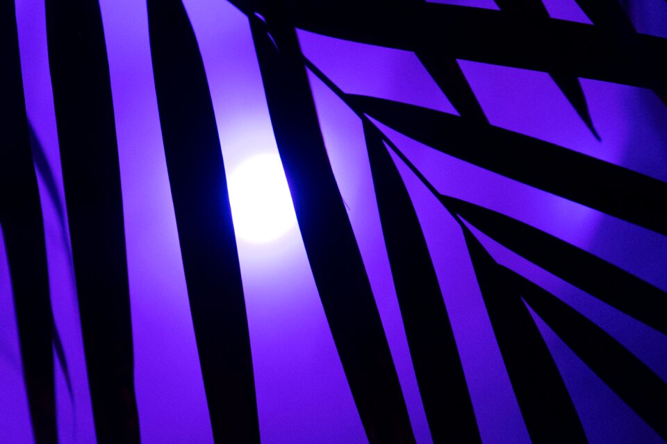 Party art artificial