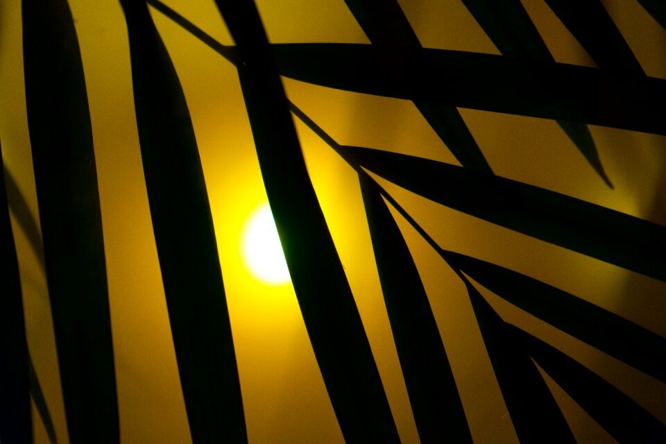 Party art artificial