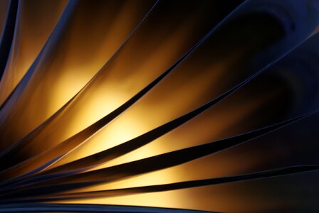 Bright paper silhuette