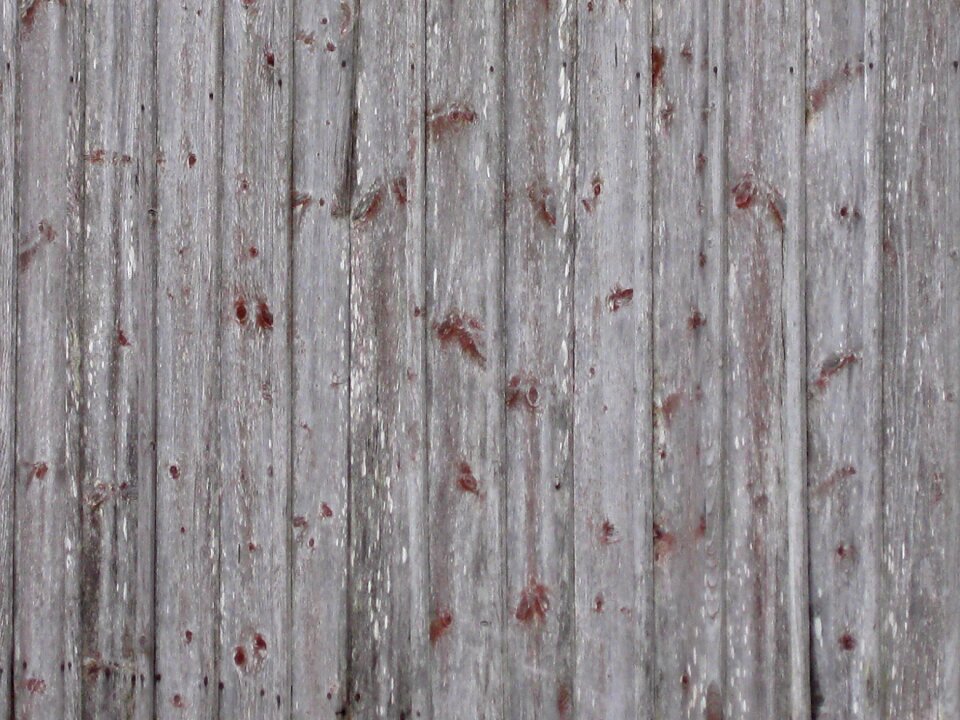 Wood close up of wood gray wood