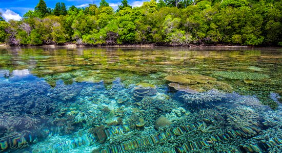 Tropical widi islands halmahera islands