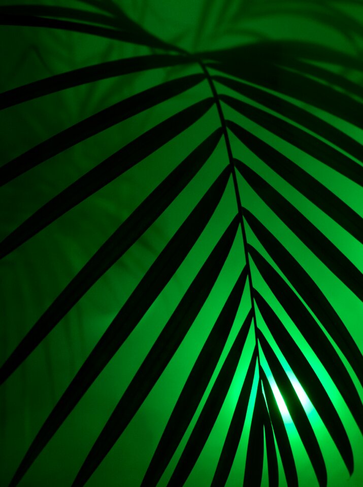 Party art artificial