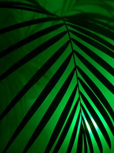 Party art artificial