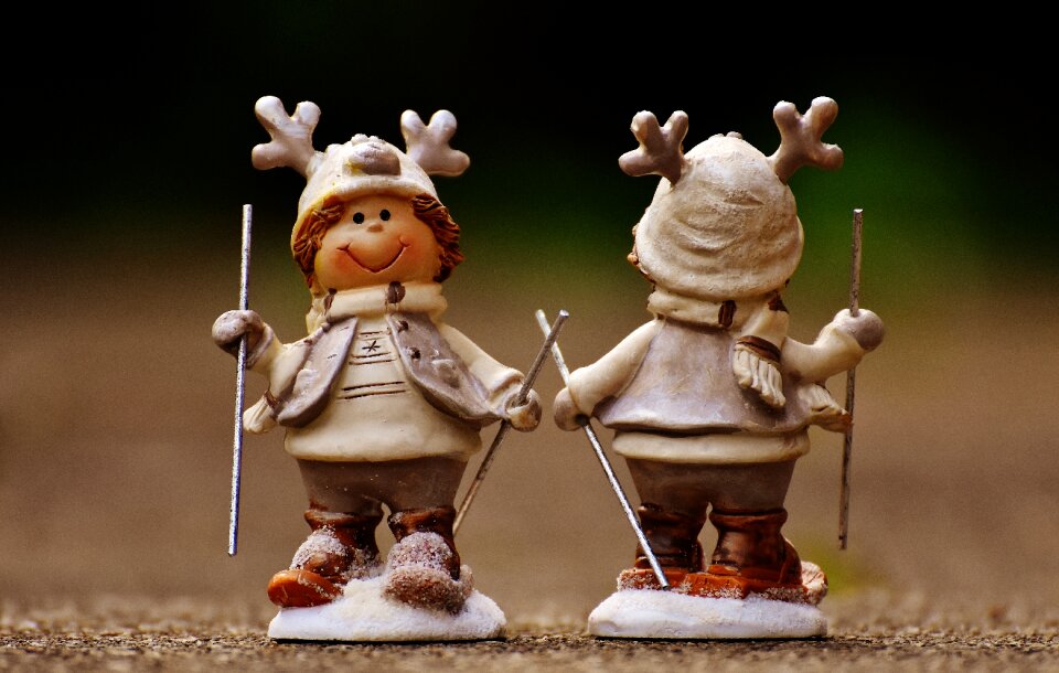 Winter christmas animal