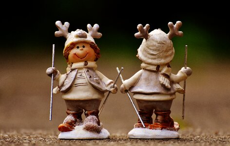 Winter christmas animal