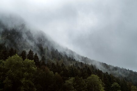 Foggy landscape mist