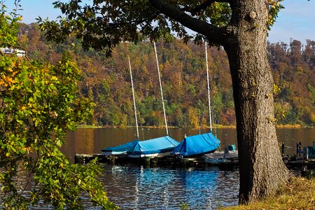 Trees landscape boats