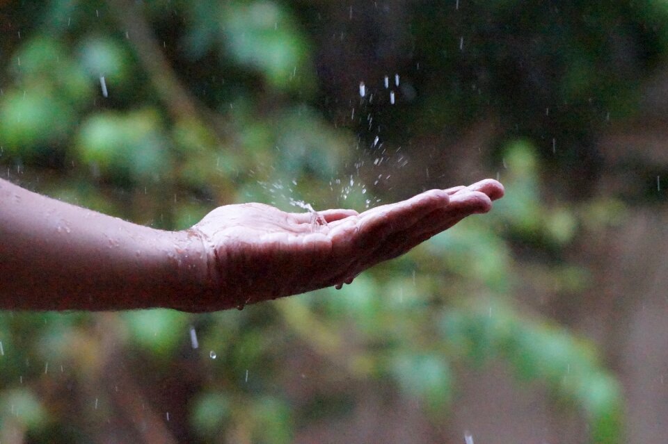 Rainy season falling on hand fresh