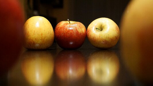 Harvest fruits food
