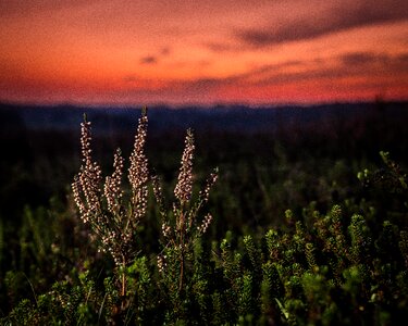 Sky landscape silence