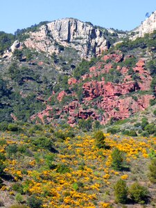 Red sandstone aulaga florida spring