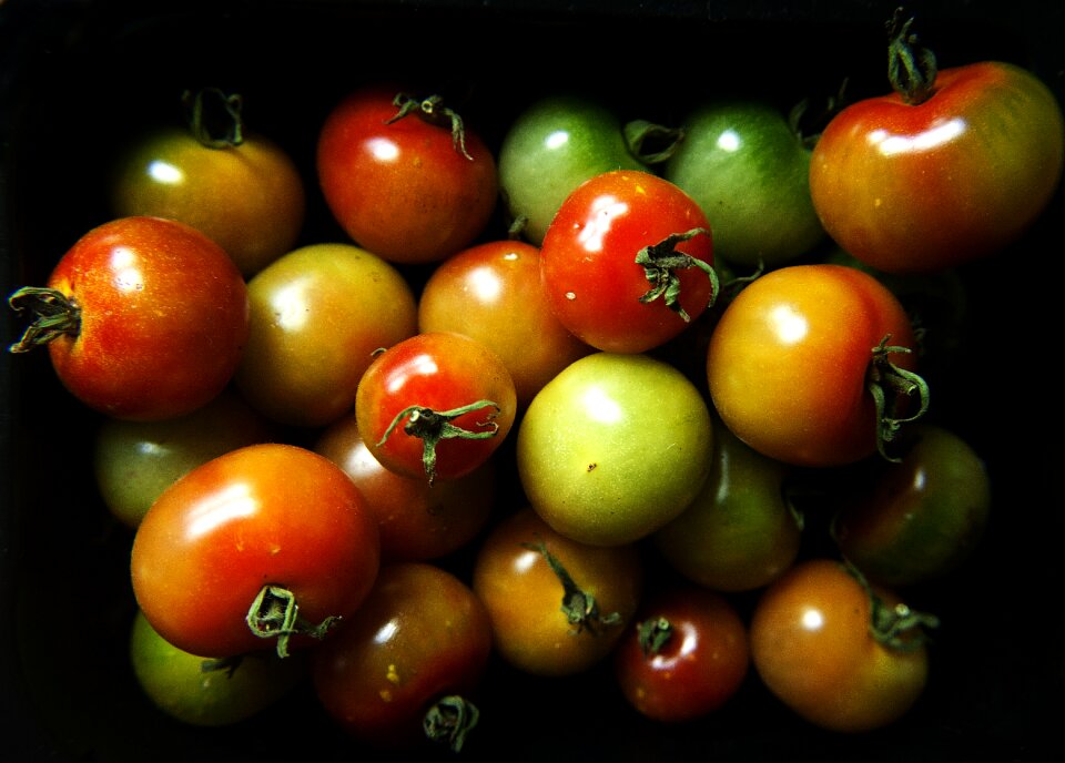 Food healthy organic