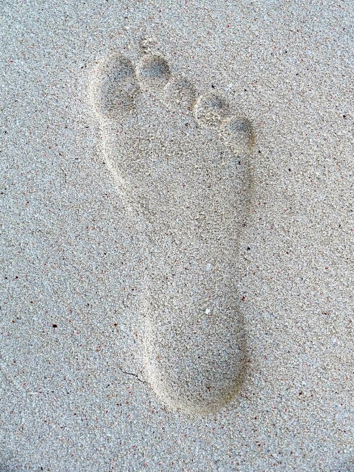 Sand beach foot sandy photo