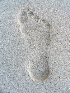 Sand beach foot sandy photo