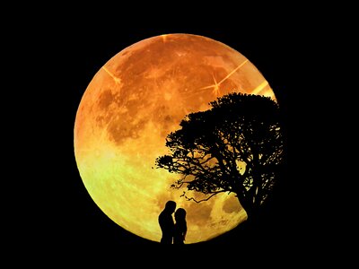 Moonlight romance love photo